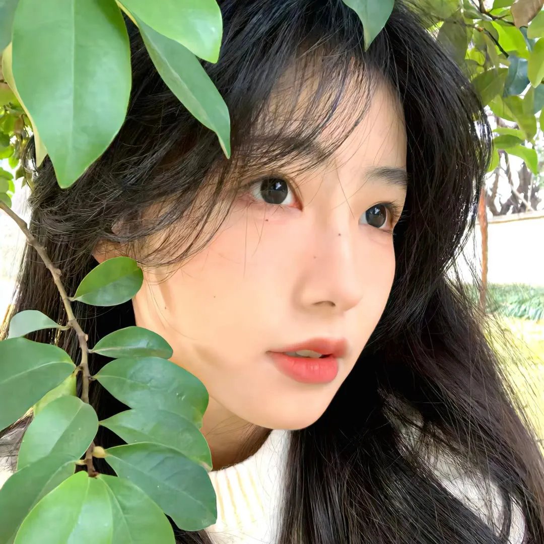 笑八仙